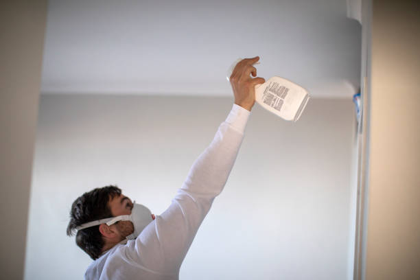 Best Affordable Mold Removal  in Bowmansville, PA