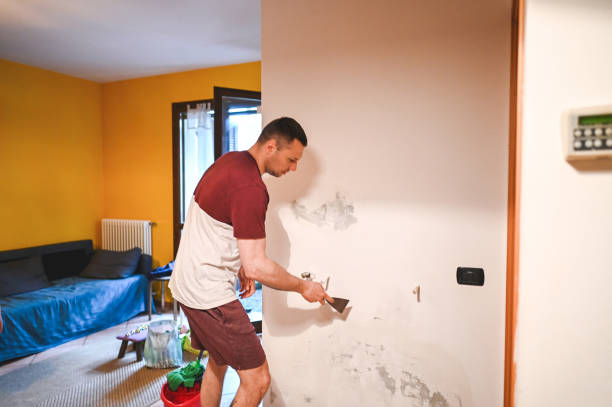Best Residential Mold Removal  in Bowmansville, PA
